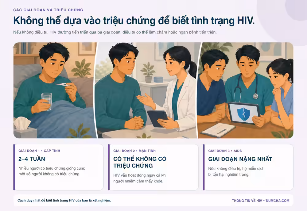 Đồ họa thông tin minh họa cho chủ đề “Các giai đoạn và triệu chứng”.