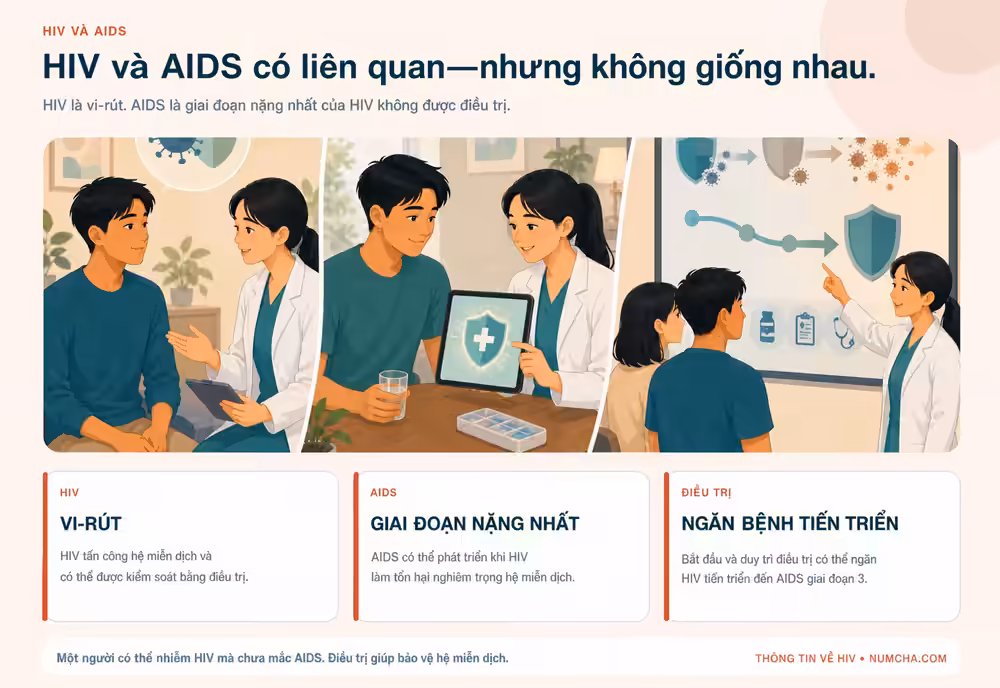 Đồ họa thông tin minh họa cho chủ đề “HIV và AIDS khác nhau như thế nào?”.