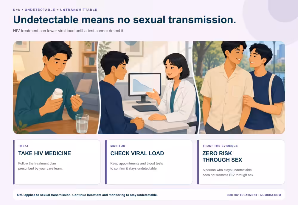 U equals U infographic explaining the path from HIV treatment to an undetectable viral load