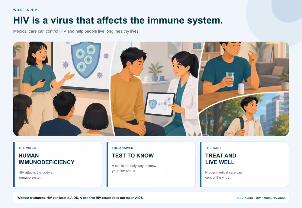 What is HIV infographic with Asian adults under 40 learning how HIV affects the immune system and how testing and treatment support health.