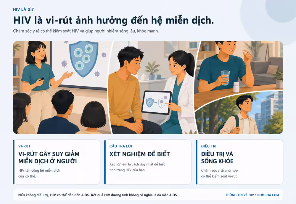 Đồ họa thông tin minh họa cho chủ đề “HIV là gì?”.